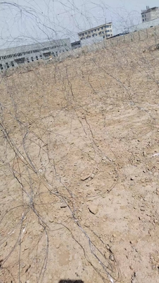 High Carbon Steel Anti Tank Wire Mesh Defend Against All Kinds Of Anti-Tank Weapons